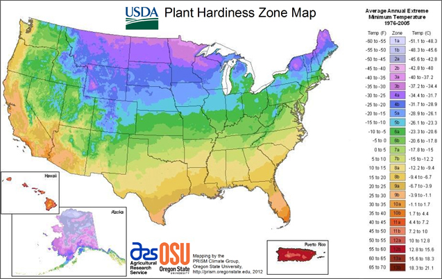 USDA planting zone map