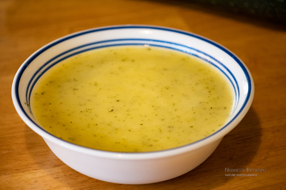 Creamed zucchini and summer squash soup