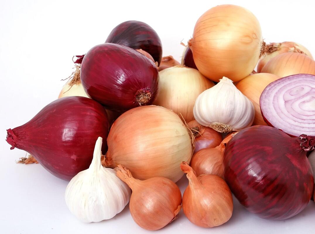 Onions and Garlic Picture