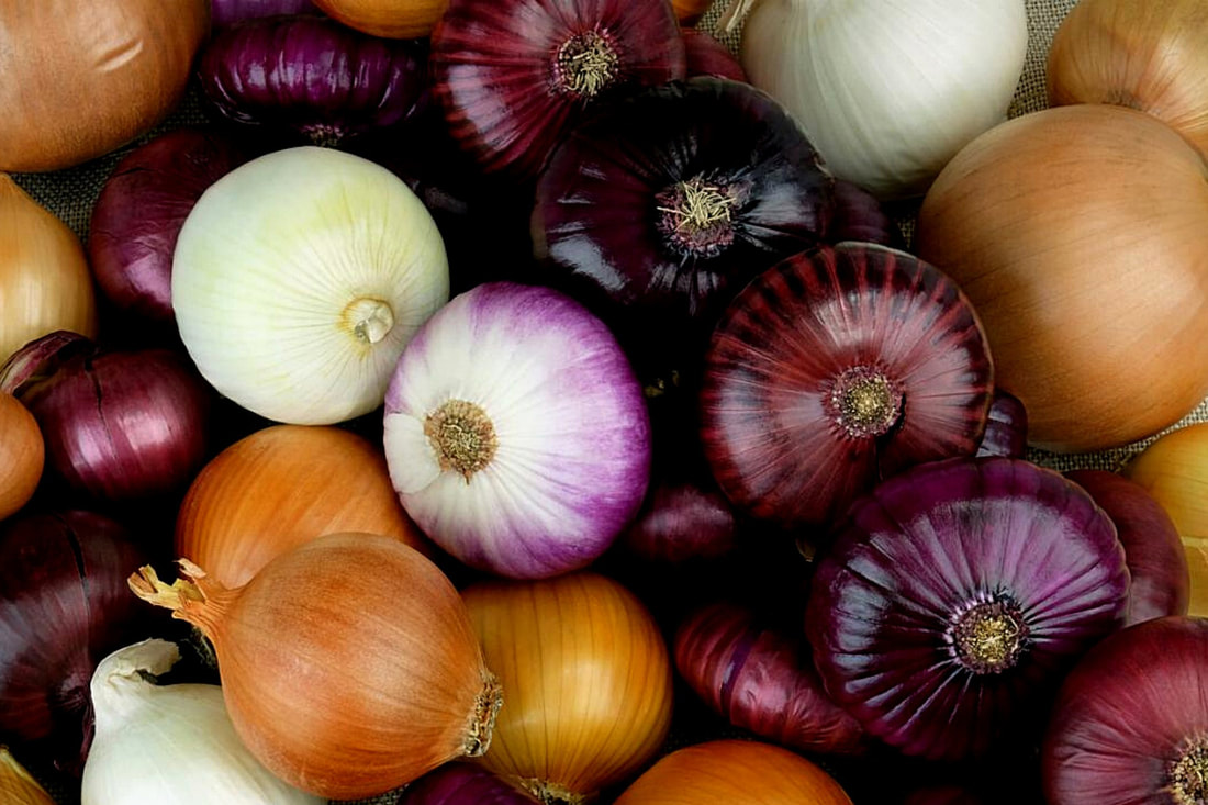 multicolored onions