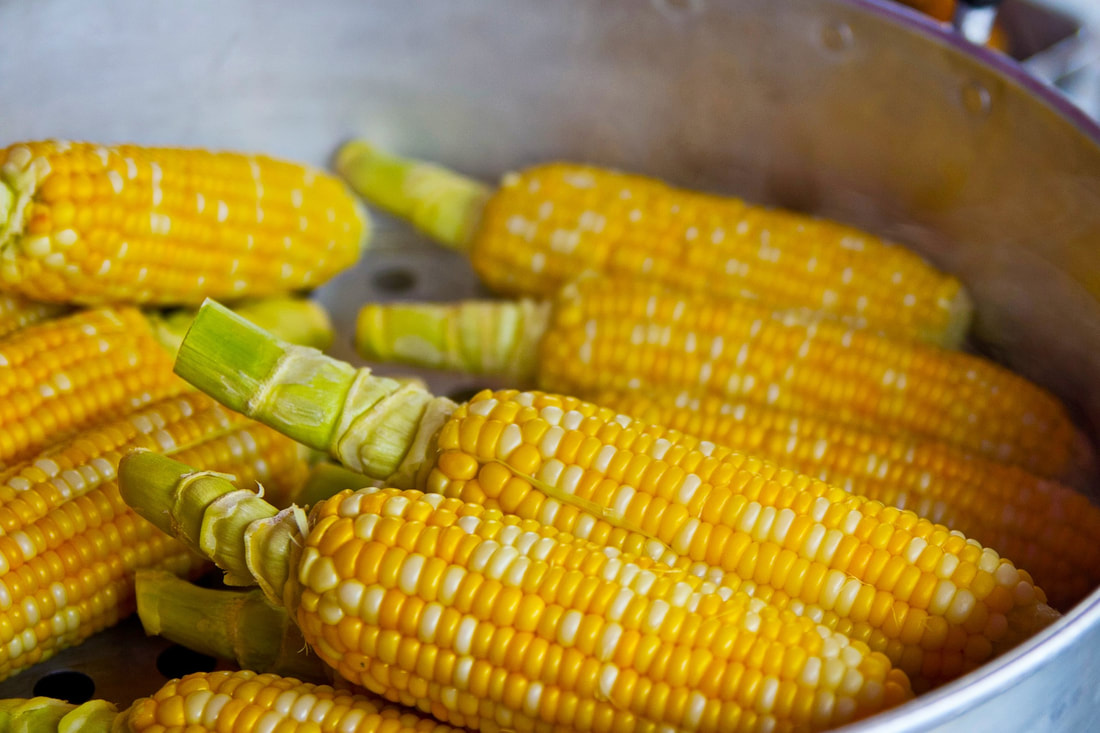 bi-color corn