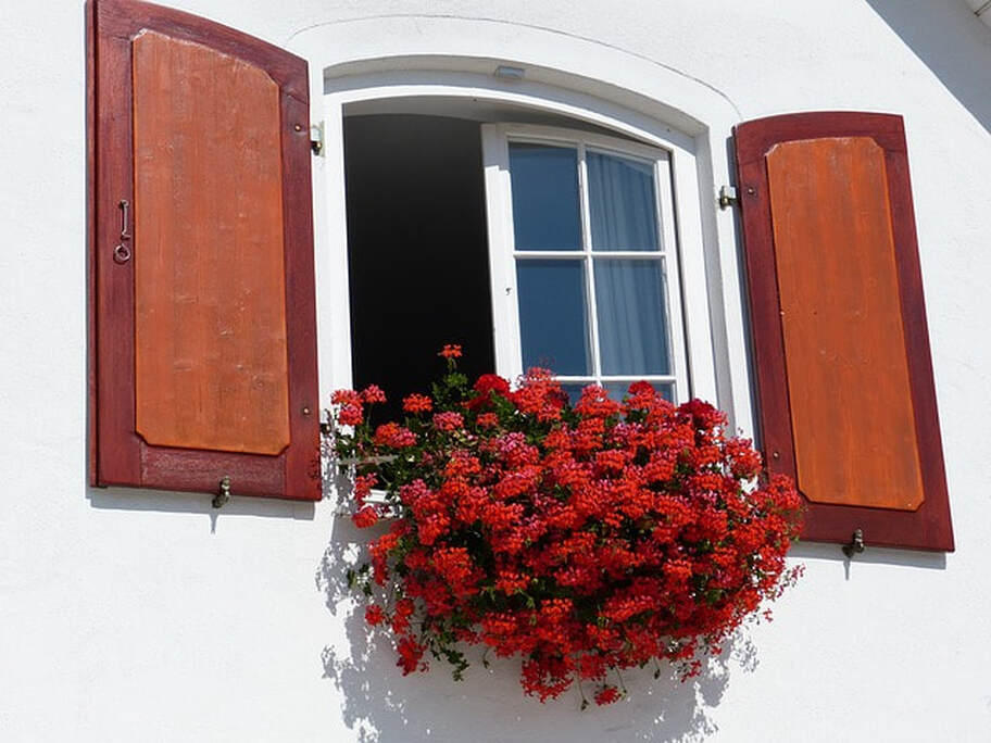 red flowers in window box