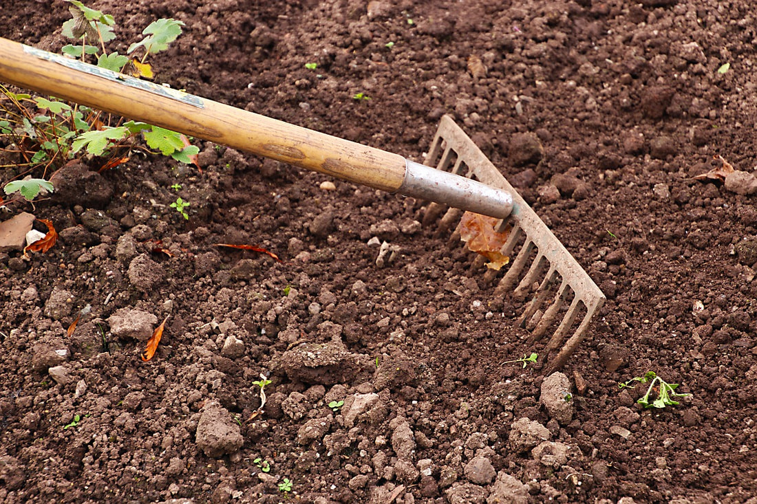 rake garden soil