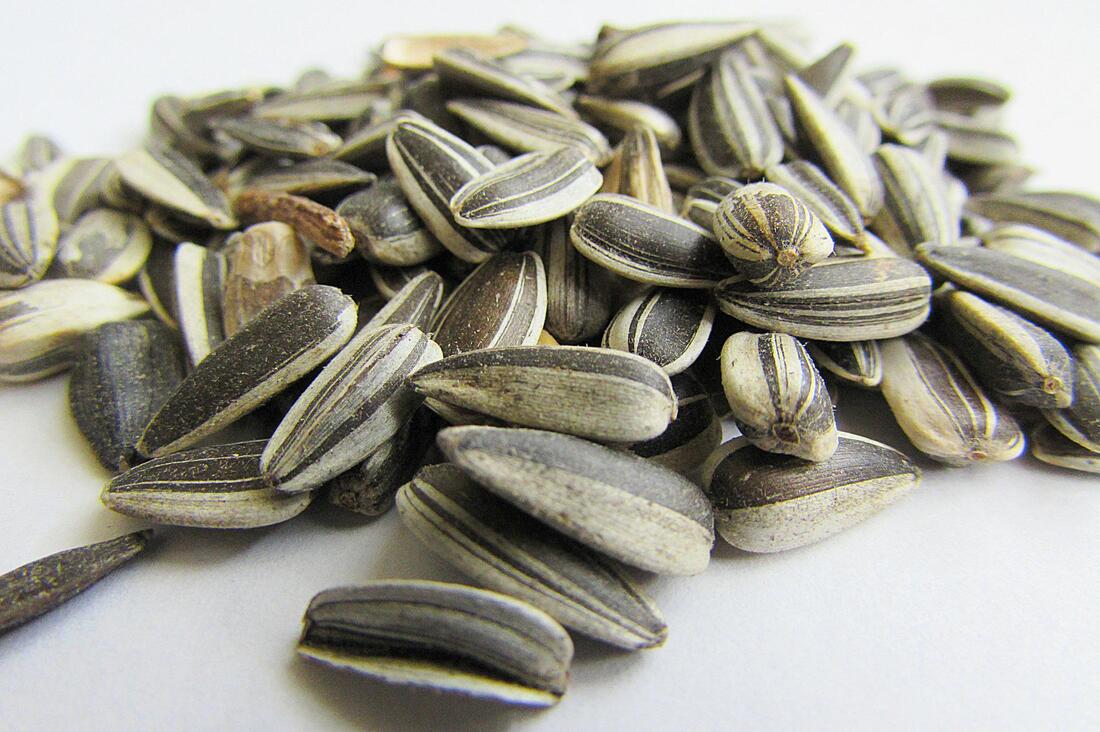 Striped sunflower seeds