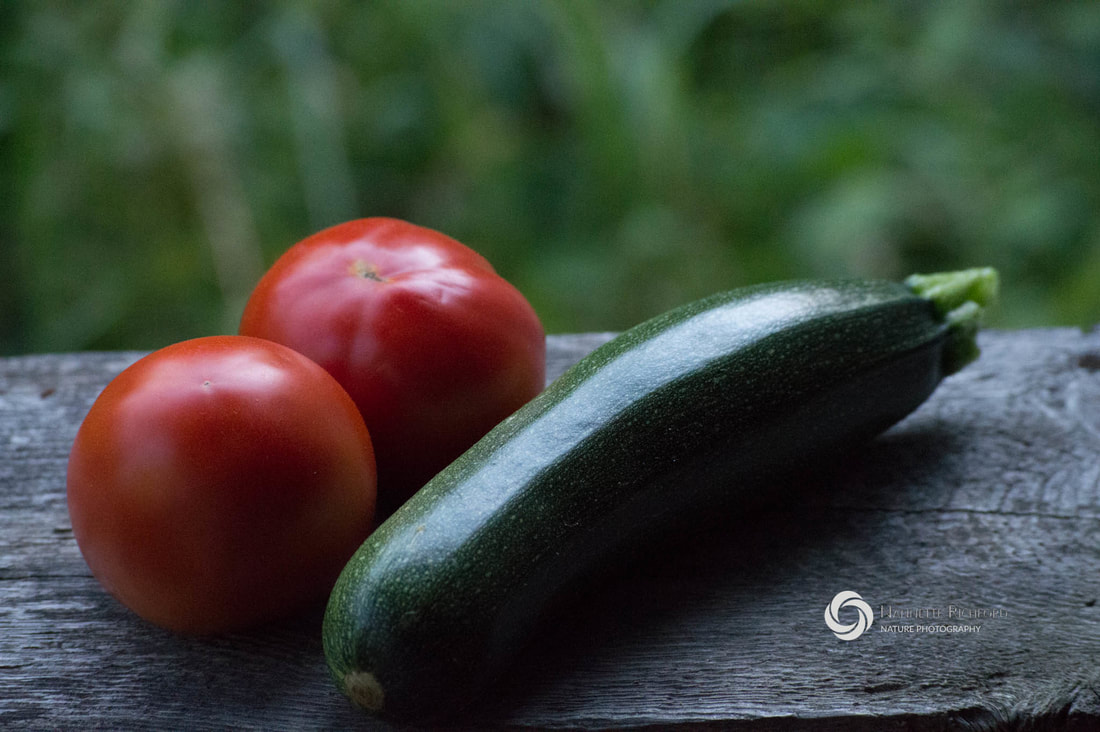 Tomatoes and zuchinni